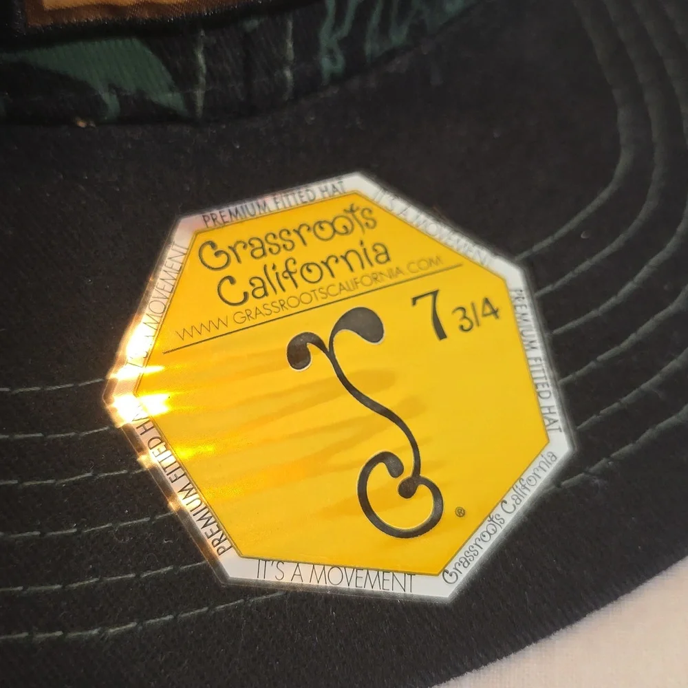 Grassroots California NEVERSUMMER Grateful Dead Stanley Mouse Mandolin Skeleton - Picture 4 of 10